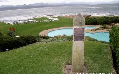 Who planted the beacon on Beacon Island?