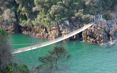 Tsitsikamma Rivers Project – quest to understand and conserve our rivers