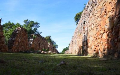 Suitable approaches to preservation of the Old Timber Shed