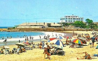 Central & Hobie beaches