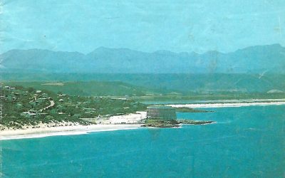 1981 Plett guide