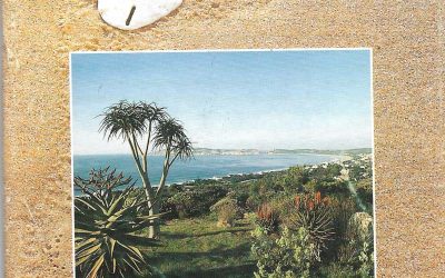 1994 Plett Guide