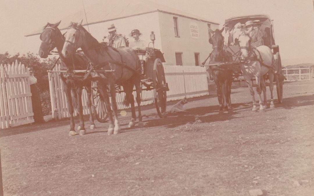 Toplis and Zondagh cars 1914 onwards