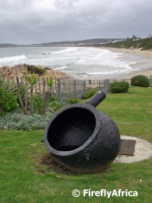 History of whaling in Plett