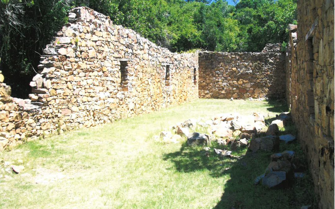 Timber shed