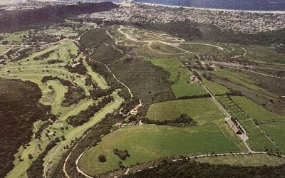 Plett CC