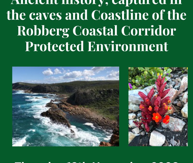 Ancient history, captured in the caves and  coastline of the Robberg Coastal Corridor  Protected Environment
